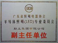 Deputy director company of LED Lighting Products