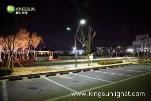 LED Street Light in Korea