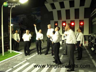 led street light---kingsun