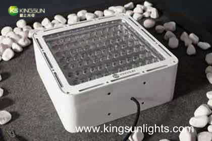 LED Petrol Station Light