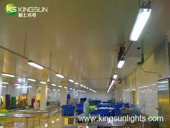 led Lighting