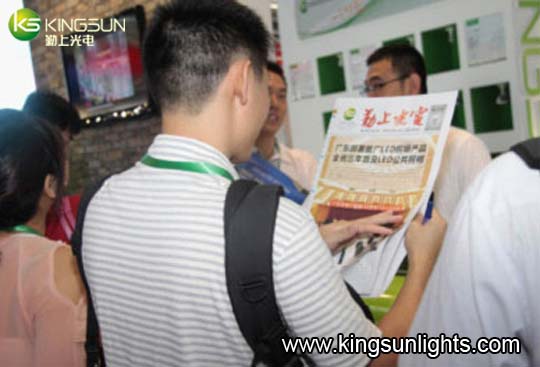 Kingsun LED