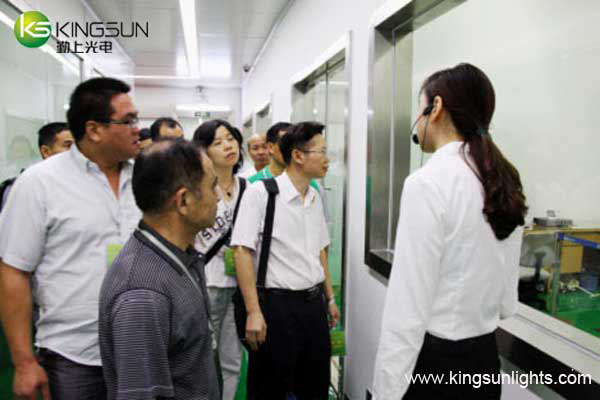 kingsun led lights