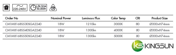 CM1M Ceiling Mount Light