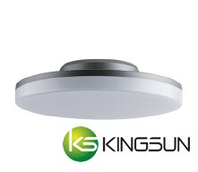 CM1M Ceiling Mount Light