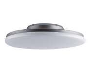 CM1N Ceiling Mount Light