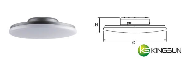 CM1N Ceiling Mount Light