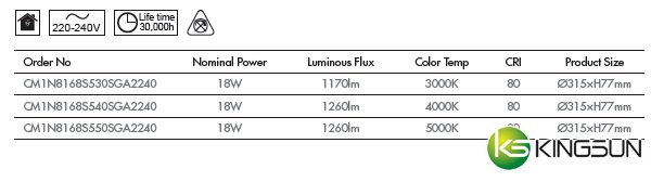 CM1N Ceiling Mount Light