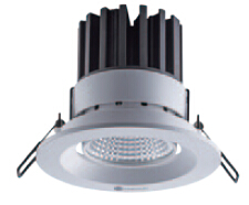 DL2C Series Adjustable Downlight