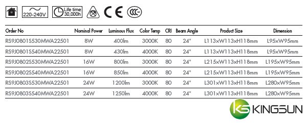 RS9J Series Recessed Spotlight