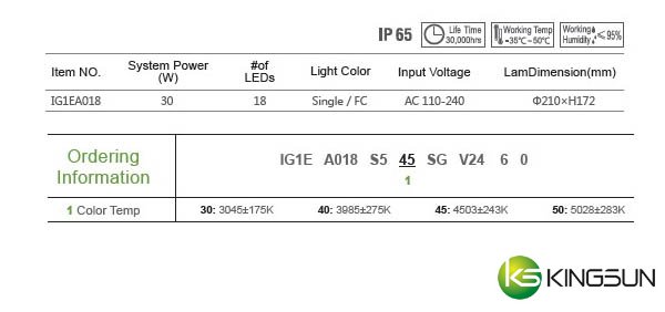 IG1E In-ground Light