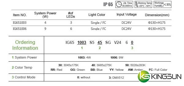 IG65 In-ground Light