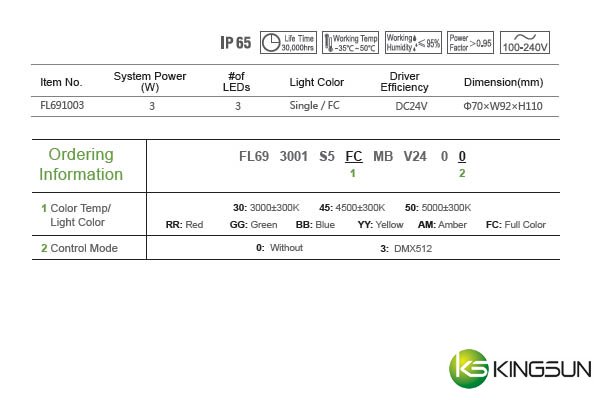 FL69 Projection Light