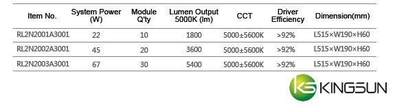 RL2N Street Light Jupiter Series