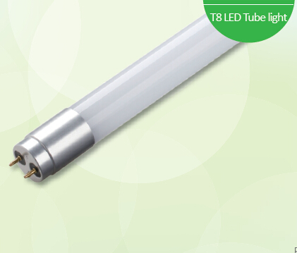 Sunshine Series T8 LED Tube light